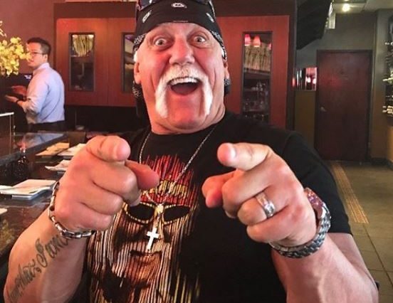 Hulk Hogan biografia