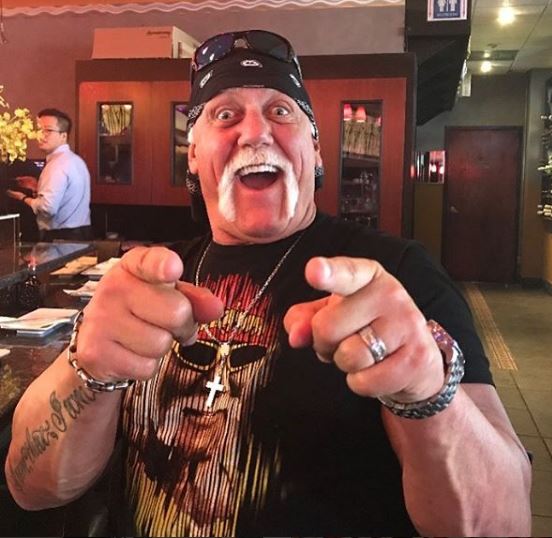 Hulk Hogan biografia